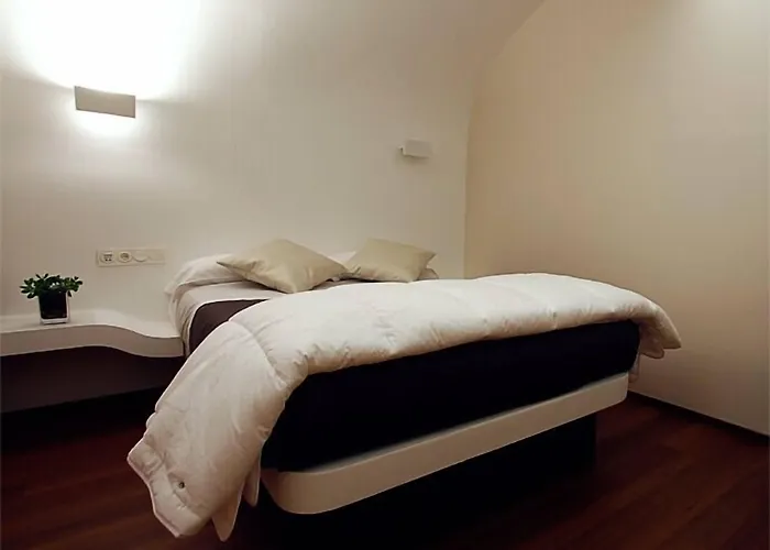 招待所 伊图里扎膳食公寓 圣塞瓦斯蒂安